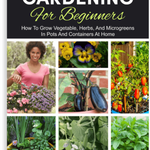 > CONTAINER GARDENING FOR BEGINNERS