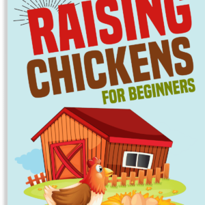 > RAISING CHICKENS FOR BEGINNERS